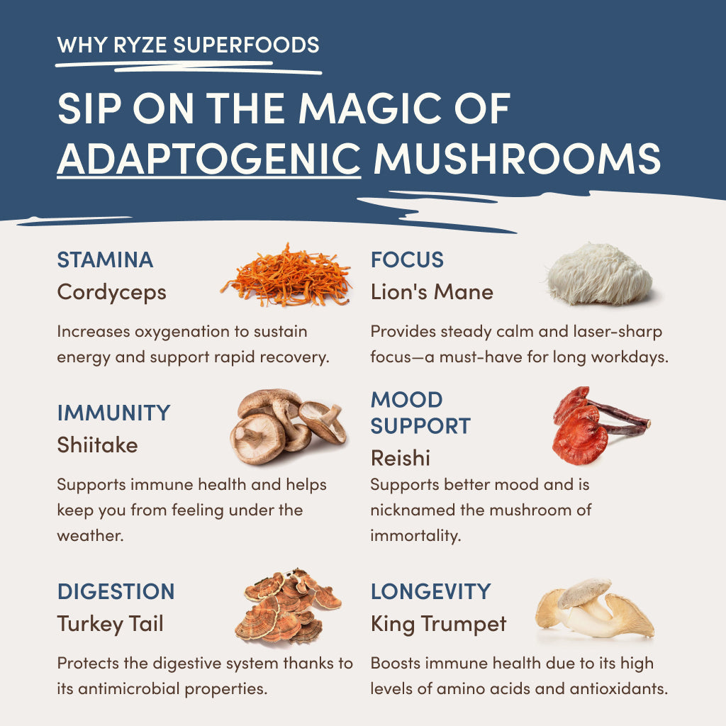 RYZE Nighttime Mushroom Cocoa Starter Bag U8