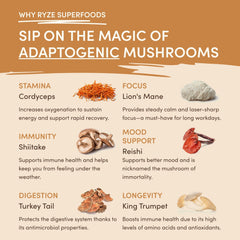Mushroom Overnight Oats (14 Servings) U4