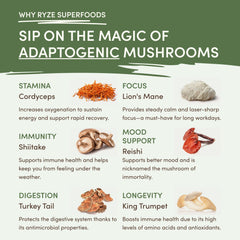 RYZE Mushroom Matcha — Organic Instant Matcha Latte with Lion's Mane & King Trumpet, 30 Servings Q5