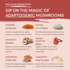 Mushroom Chai (20 Servings) Y4
