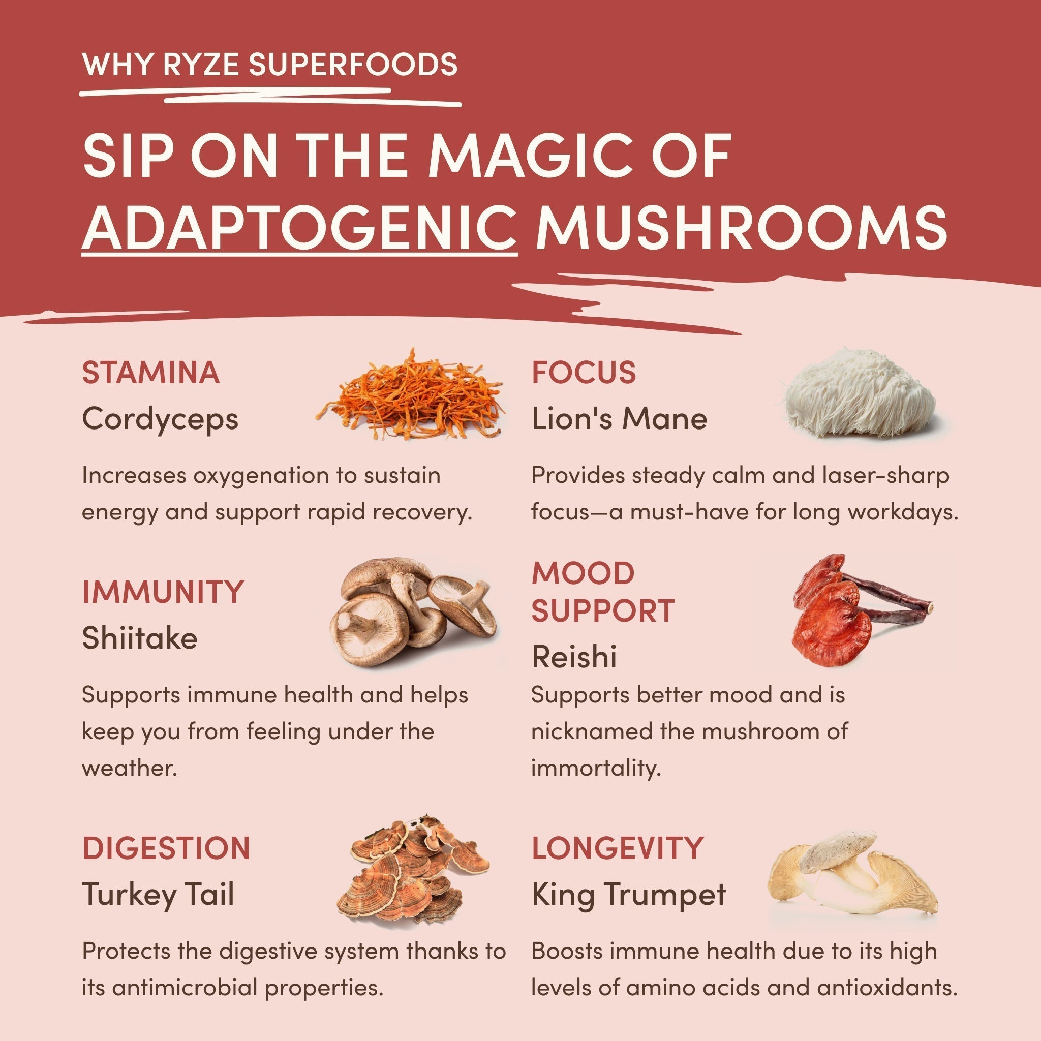 RYZE Mushroom Chai — Organic Instant Chai with Reishi & Organic Black Tea, 20 Servings I4