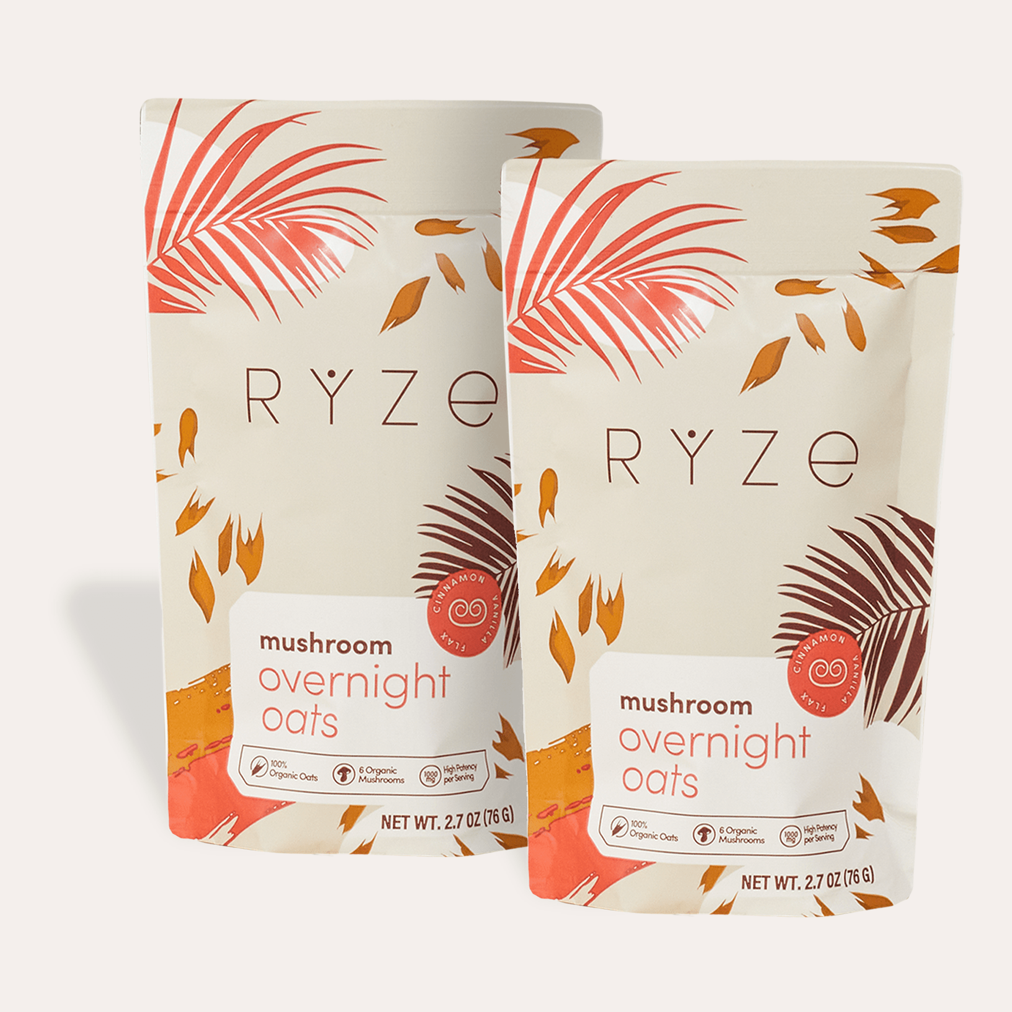 Mushroom Overnight Oats Pack (28 Servings) P4