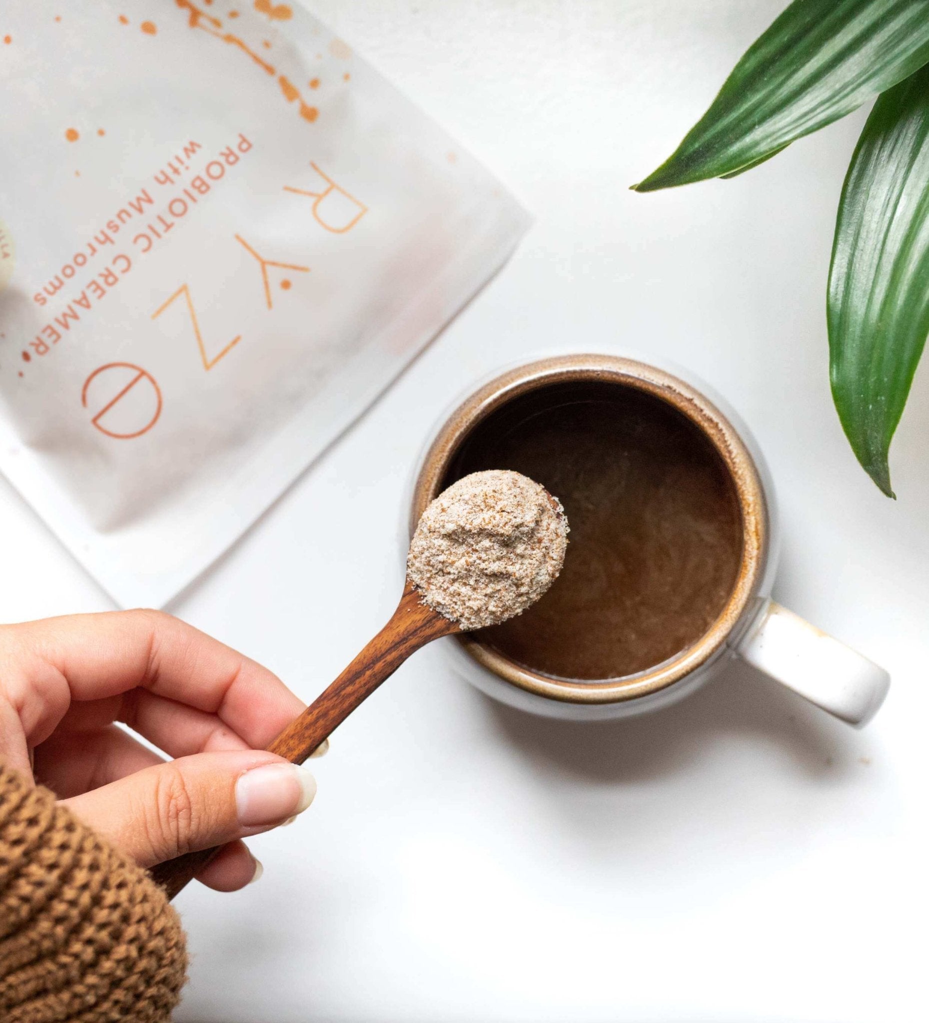 Probiotic Creamer (30 Servings) K3