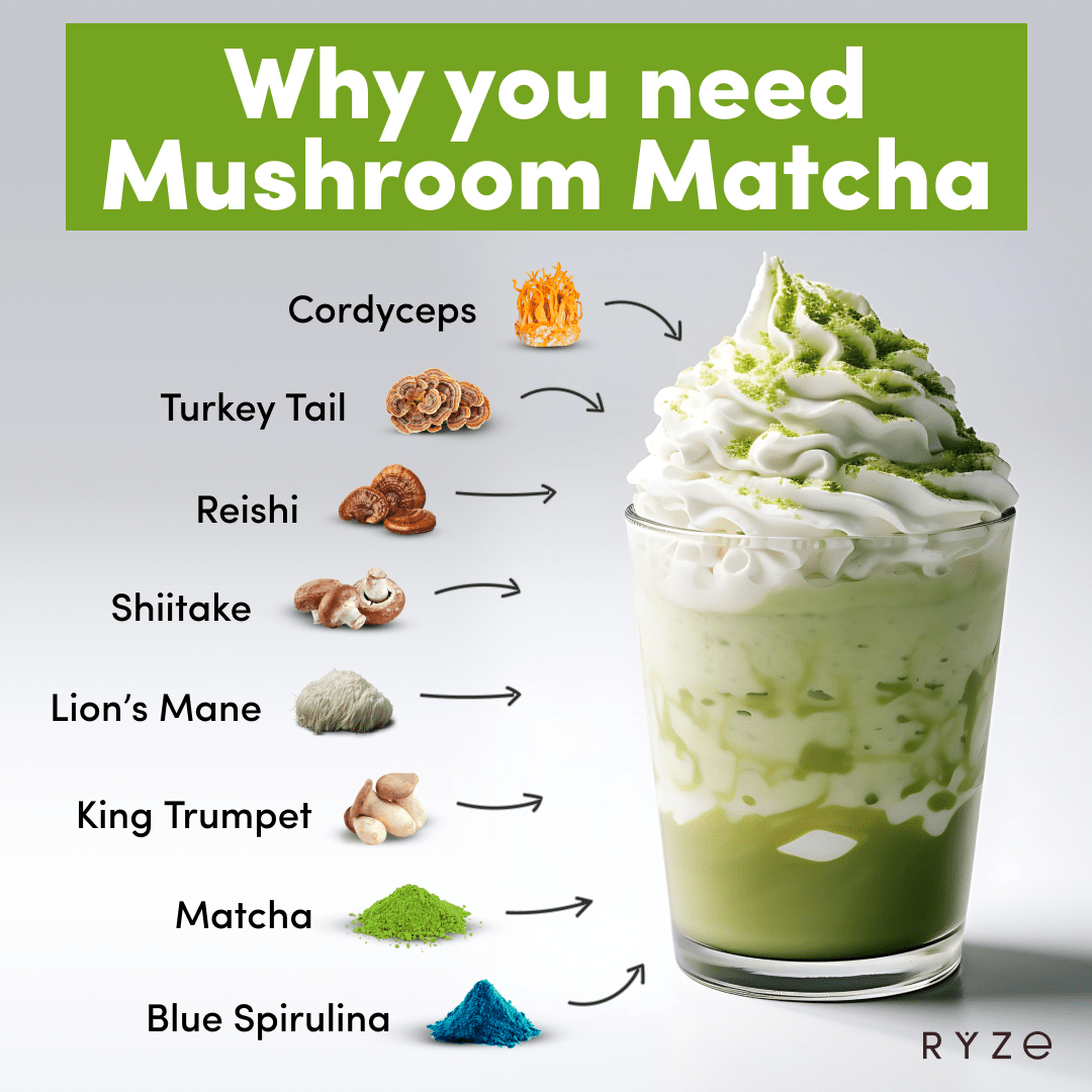 RYZE Mushroom Matcha - with 6 Organic Adaptogenic Mushrooms Grown In USA and Ceremonial-Grade Japanese Matcha S3